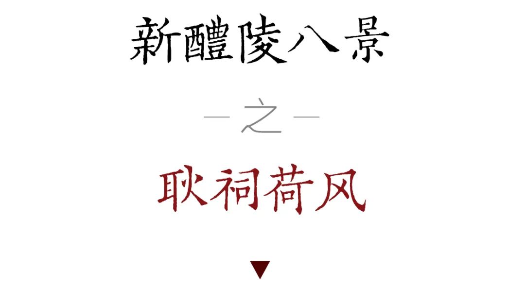 DƬ